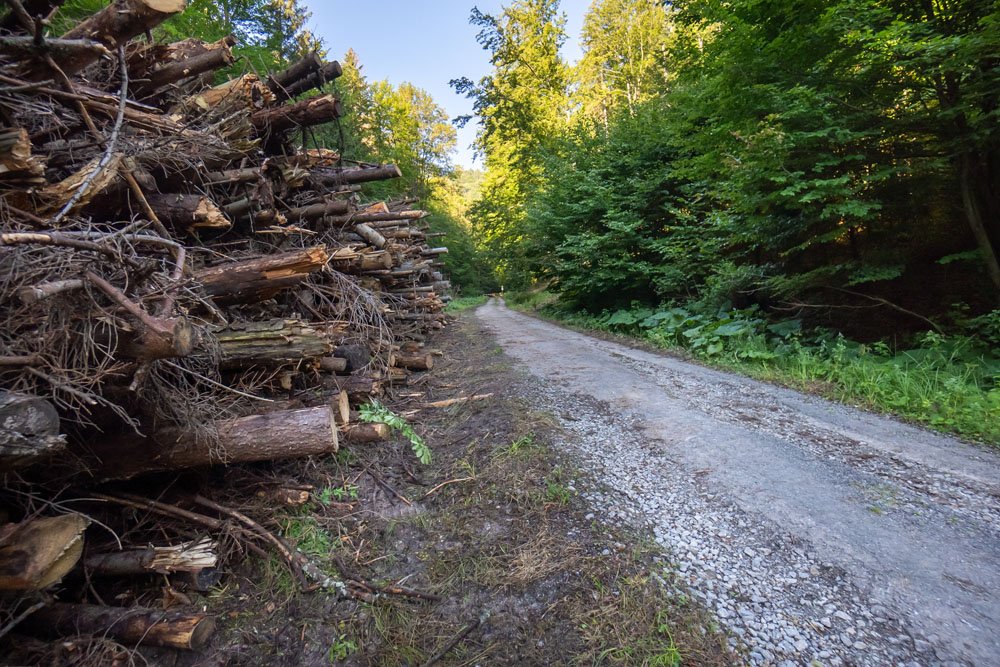 Dolina Šindolná - vyvezené zvyšky po ťažbe - Urbariát Valča